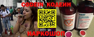 мдпв Кингисепп