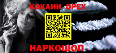 мдпв Кингисепп