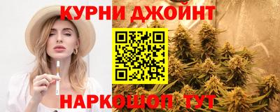 мдпв Кингисепп