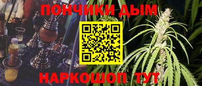 мдпв Кингисепп